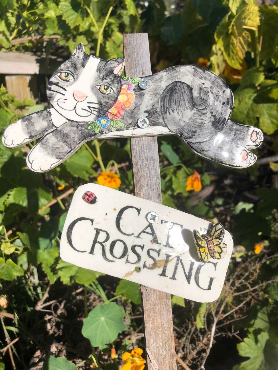 Cat Crossing sign