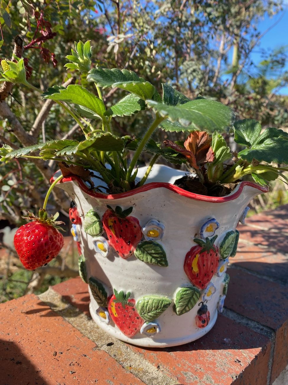 Strawberry planter