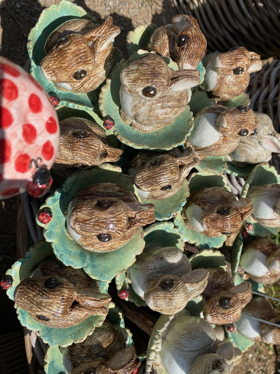 Bunnies