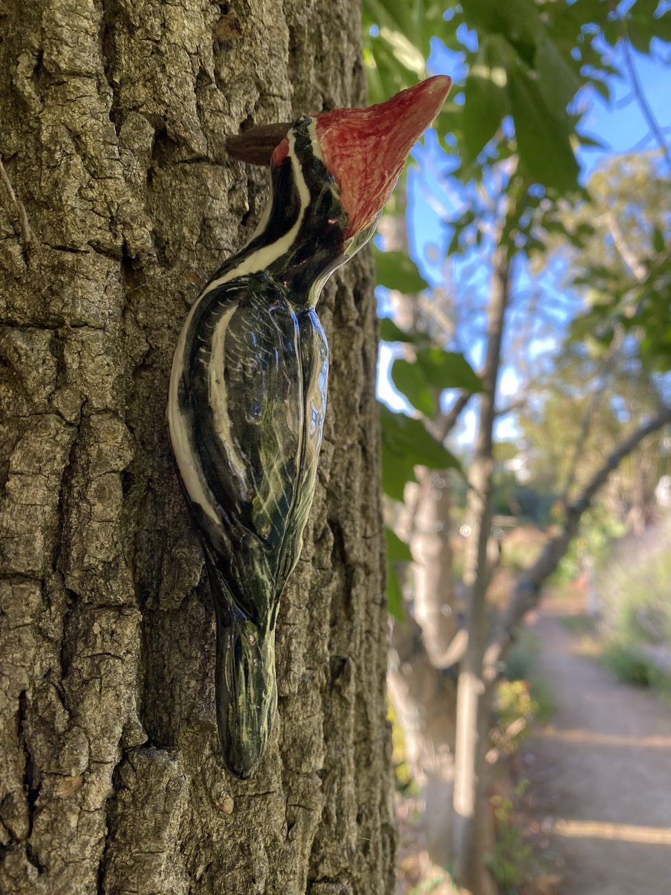 Woodpecker on a tree