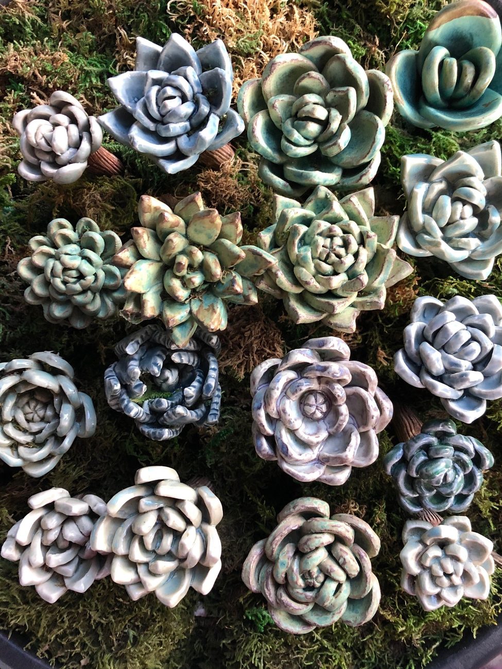 Ceramic succulents