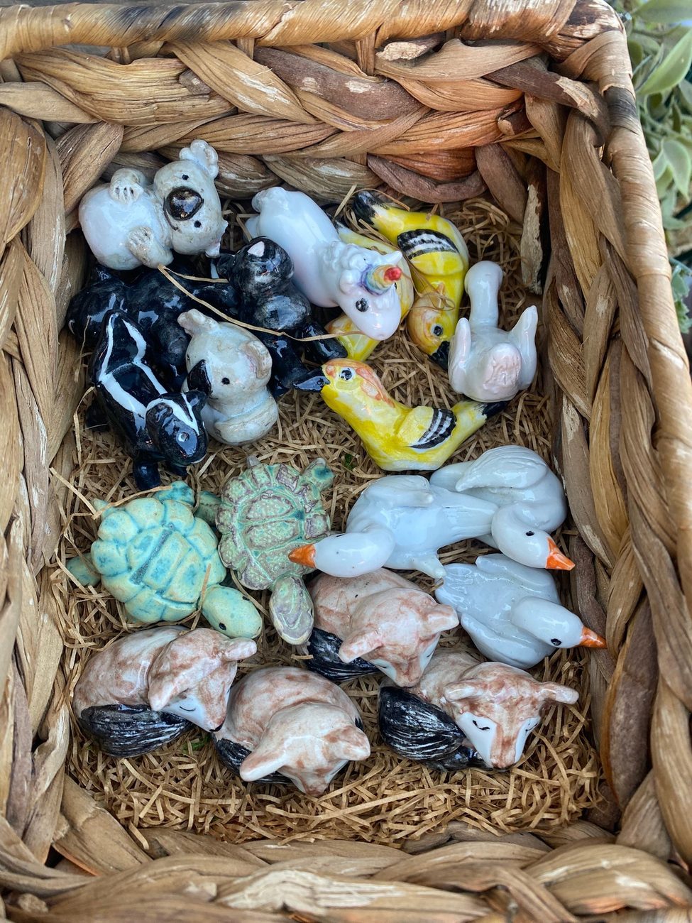 Little critters