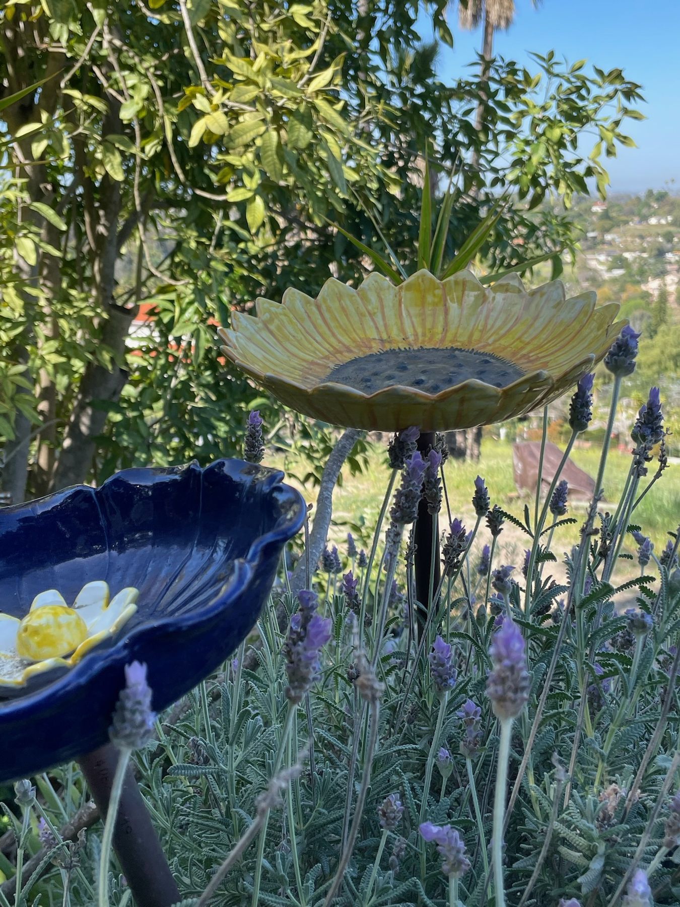 Sunflower birdbath in the garden